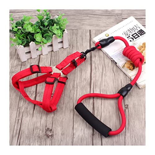 SLAHAJ Hundeleine Hundeleine zum Trainieren 3-teiliges Set Heimtierbedarf Sicherheitsseil Hundeleine Halsband Set Traktionsseil Brustgeschirr(Red Leash Harness,M) von SLAHAJ