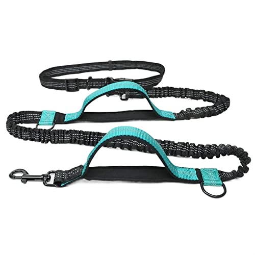 SLAHAJ Hundeleine Hundeleine zum Trainieren Hunde-Laufgürtel Haustier-Bungee-Leinen Hundetraining für mittelgroße Hundebedarf(Astyle Aqua Green) von SLAHAJ