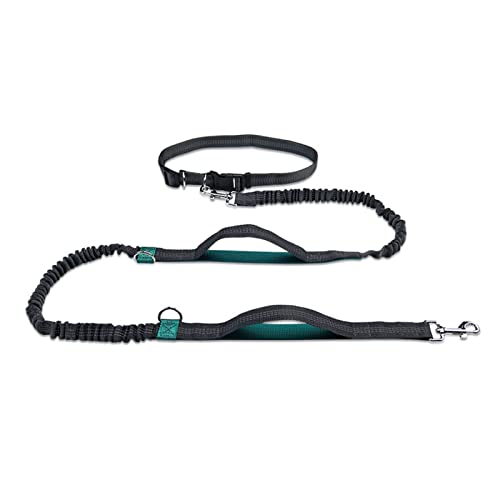 SLAHAJ Hundeleine Hundeleine zum Trainieren Hunde-Laufgürtel Haustier-Bungee-Leinen Hundetraining für mittelgroße Hundebedarf(Bstyle Aqua Green) von SLAHAJ