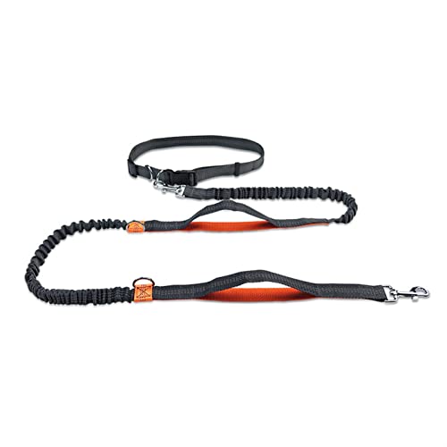 SLAHAJ Hundeleine Hundeleine zum Trainieren Hunde-Laufgürtel Haustier-Bungee-Leinen Hundetraining für mittelgroße Hundebedarf(Bstyle orange) von SLAHAJ