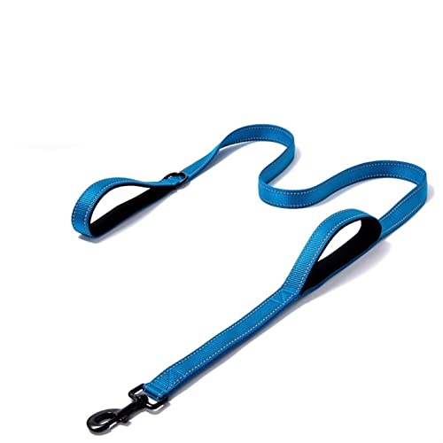 SLAHAJ Hundeleine Hundeleine zum Trainieren Hundeleine Nylonseil Haustier Laufleine Langleine Welpe Bergsteigen(Blue,2.5X150CM) von SLAHAJ