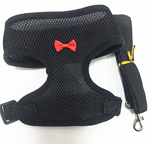 SLAHAJ Hundeleine Hundeleine zum Trainieren Laufleine für Hündchen, Halsband, Polyester, für kleine, mittelgroße Hunde, Katzen, Haustiere(Black(with Leash),M) von SLAHAJ