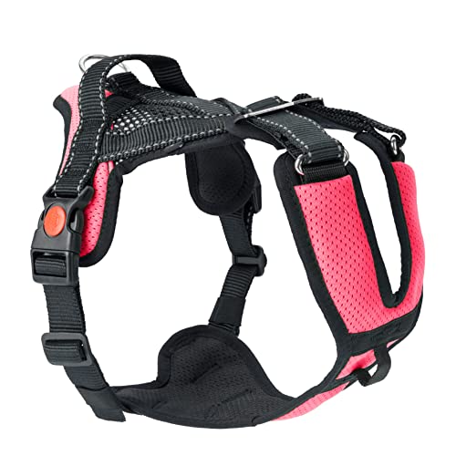 SLEDWORK® Hundegeschirr Brustgeschirr Mountain Pro Harness robust verstellbar atmungsaktiv schnell trocknend reflektierend sportiv für mittlgroße und große Hunde (neon-pink, S) von SLEDWORK