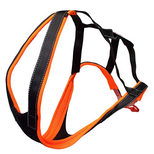 SLEDWORK X_Back ACTIV G2 orange/schwarz | SWXG2B | für CaniX und Mushing, 4 von SLEDWORK