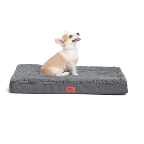 SLPRO Hundebett für kleine Hunde - orthopädisches Hundekissen - gemütlich und rutschfest für Ihren Hund - Hundesofa perfekt für Hunde wie Französische Bulldogge und Beagle bis 23kg 76 x 51 x 8cm von SLPRO