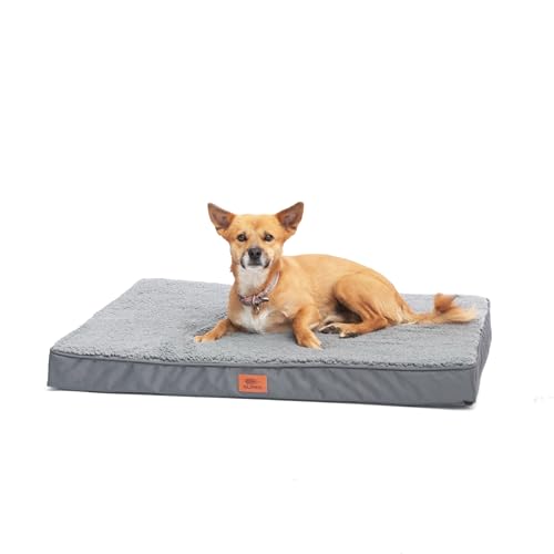 SLPRO Hundebett für mittelgroße Hunde - orthopädisches Hundekissen - gemütlich und rutschfest für Ihren Hund - Hundesofa perfekt für Hunde wie Border Collie & Dalmatiner bis 34kg 91 x 69 x 8cm von SLPRO