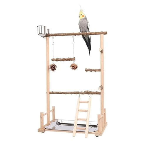 Hotsale Vogelschaukel Spielzeug Holz Papagei Sitzstange Ständer Spielplatz mit Kauperlen Käfig Spielplatz Vogel Schaukel Spielzeug Holz Papagei Sitzstange von SLTEC