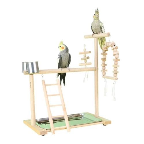 Hotsale Vogelschaukel Spielzeug Holz Papagei Sitzstange Ständer Spielplatz mit Kauperlen Käfig Spielplatz Vogel Schaukel Spielzeug Holz Papagei Sitzstange von SLTEC