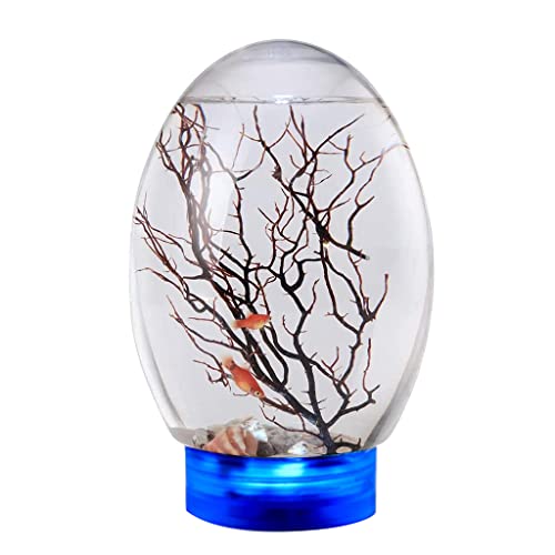 SLXLYH 360 Desktop Aquarium Neuheit Design Mit LED Basis Für Kinder/Fischereiliebhaber Nicht Erforderlich Um Wasser/Futter Ökosphäre Zu Ändern Aquatische Ökosystem Geschlossen SLXLYH 360 Desktop Aquarium Neuheit Design Mit LED Basis Für Kinder/Fischereiliebhaber Nicht Erforderlich Um Wasser/Futter Ökosphäre Zu Ändern Aquatische Ökosystem Geschlossen von SLXLYH