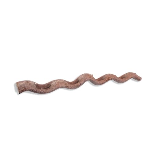 SLXLYH Natürliche Reptilien, Eckaste, Kletterranke, Rattanrebe für Terrarien, dekorative Pflanze, Rattanstock für Eidechsen, Schlangen, Reptilien, Terrarien, Dekorationen SLXLYH Natürliche Reptilien, Eckaste, Kletterranke, Rattanrebe für Terrarien, dekorative Pflanze, Rattanstock für Eidechsen, Schlangen, Reptilien, Terrarien, Dekorationen von SLXLYH