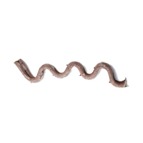 SLXLYH Natürliche Reptilien, Eckaste, Kletterranke, Rattanrebe für Terrarien, dekorative Pflanze, Rattanstock für Eidechsen, Schlangen, Reptilien, Terrarien, Dekorationen SLXLYH Natürliche Reptilien, Eckaste, Kletterranke, Rattanrebe für Terrarien, dekorative Pflanze, Rattanstock für Eidechsen, Schlangen, Reptilien, Terrarien, Dekorationen von SLXLYH