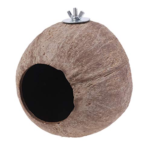 SLXLYH Natürliches Vogelhaus für Muscheln, 10,9 cm Durchmesser, 6,1 cm Öffnung, für Haustiere, Vogel, Sittiche, Finken, Spatzen, Zucht, Anti-B von SLXLYH