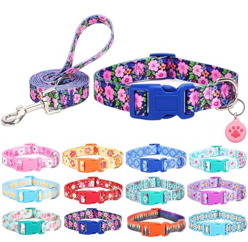 SLZZ Hundehalsband mit Leine Airtag Halter Etui Garnitur - Hundehalsbänder für männlich weiblich Junge Mädchen Welpe X-klein klein mittel groß Hunde Gehen Laufen Training - Gänseblümchen-M von SLZZ