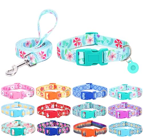 SLZZ Hundehalsband mit Leine Airtag Halter Etui Garnitur - Hundehalsbänder für männlich weiblich Junge Mädchen Welpe X-klein klein mittel groß Hunde Gehen Laufen Training - Grünes Gänseblümchen-XS von SLZZ