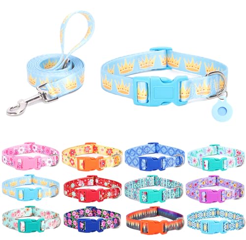 SLZZ Hundehalsband mit Leine Airtag Halter Etui Garnitur - Hundehalsbänder für männlich weiblich Junge Mädchen Welpe X-klein klein mittel groß Hunde Gehen Laufen Training - Königskrone-L von SLZZ