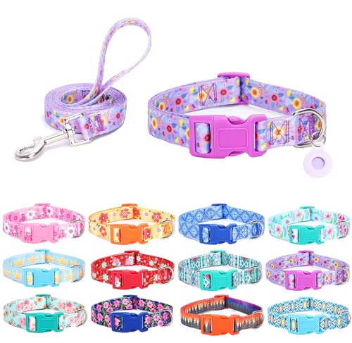 SLZZ Hundehalsband mit Leine Airtag Halter Etui Garnitur - Hundehalsbänder für männlich weiblich Junge Mädchen Welpe X-klein klein mittel groß Hunde Gehen Laufen Training - Lila Gänseblümchen-L von SLZZ