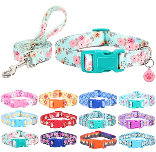 SLZZ Hundehalsband mit Leine Airtag Halter Etui Garnitur - Hundehalsbänder für männlich weiblich Junge Mädchen Welpe X-klein klein mittel groß Hunde Gehen Laufen Training - Lilienblüte-L von SLZZ