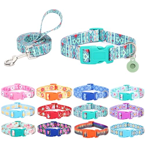 SLZZ Hundehalsband mit Leine Airtag Halter Etui Garnitur - Hundehalsbänder für männlich weiblich Junge Mädchen Welpe X-klein klein mittel groß Hunde Gehen Laufen Training - Maya -XS von SLZZ