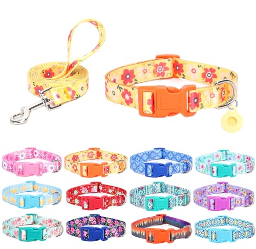 SLZZ Hundehalsband mit Leine Airtag Halter Etui Garnitur - Hundehalsbänder für männlich weiblich Junge Mädchen Welpe X-klein klein mittel groß Hunde Gehen Laufen Training - Orange Gänseblümchen-L von SLZZ