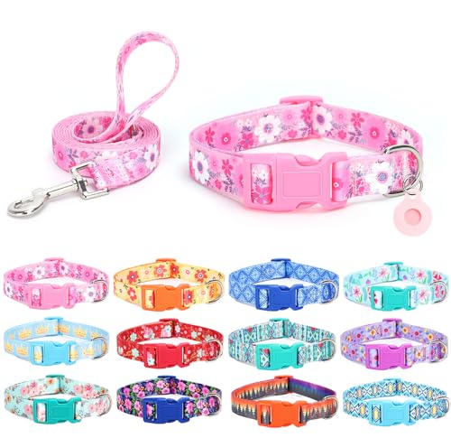 SLZZ Hundehalsband mit Leine Airtag Halter Etui Garnitur - Hundehalsbänder für männlich weiblich Junge Mädchen Welpe X-klein klein mittel groß Hunde Gehen Laufen Training - Rosa Gänseblümchen-L von SLZZ