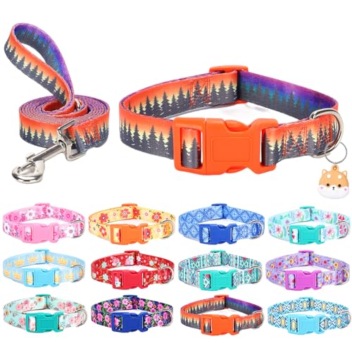 SLZZ Hundehalsband mit Leine Airtag Halter Etui Garnitur - Hundehalsbänder für männlich weiblich Junge Mädchen Welpe X-klein klein mittel groß Hunde Gehen Laufen Training - Wald -M von SLZZ