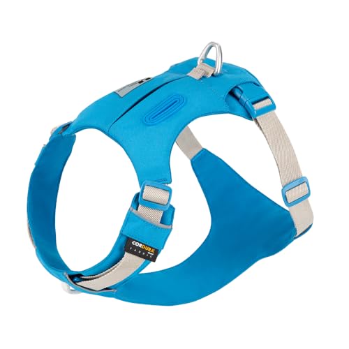 SMALL COMBINATION Hundegeschirr Dog Pocket Harness Verstellbar, Türkis (Blau, L) von SMALL COMBINATION