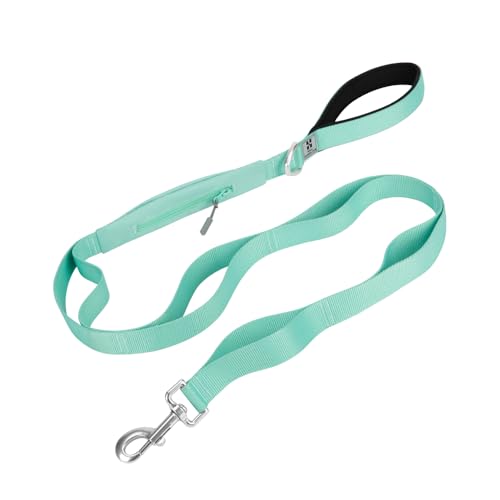 SMALL COMBINATION Hundeleine, 1,2 m lang, mit Metallclip (Aqua Green, L) von SMALL COMBINATION