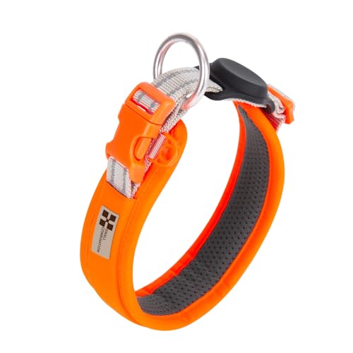 SMALL COMBINATION Verstellbares Hundehalsband für Haustiere, Türkis und Schwarz, 24-38 cm (Orange, L) von SMALL COMBINATION