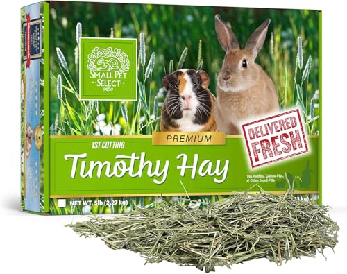 Small Pet Select 1st Cutting High Fiber Timothy Hay Pet Food, 2.27 kg von SMALL PET SELECT