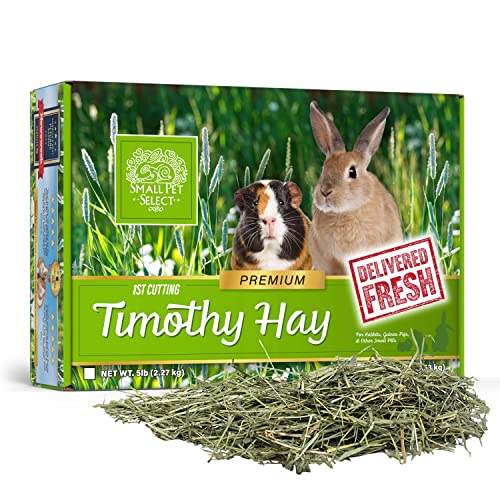 Small Pet Select 1st Cutting High Fiber Timothy Hay Pet Food, 2.27 kg von SMALL PET SELECT