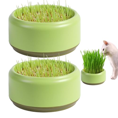 SMELEYOU Cat Grass Pflanzer 2PCs Praktische runde Katzengrasbecher Bequeme Katzengras -Wachstumskit Haushalt Katze Gras Kindergarten Samenrouter Tablett von SMELEYOU