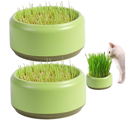 SMELEYOU Katzengras Pflanzer 2PCs Praktische runde Katzengrasbecher 13,5 cm praktische Katzengras Wachstumskit Haushalt Katzengras Kindergärten Samenrouter Tablett (ohne Samen) von SMELEYOU