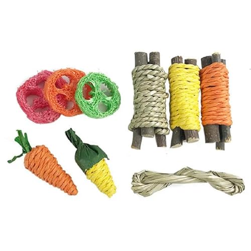 SMYTJSYC Haustier Kaninchen Meerschweinchen Drache Katze Spaß Spielzeug Hamster Kaninchen Kaninchen Zahn Schleifen Set Haustier Zahn-Multi von SMYTJSYC