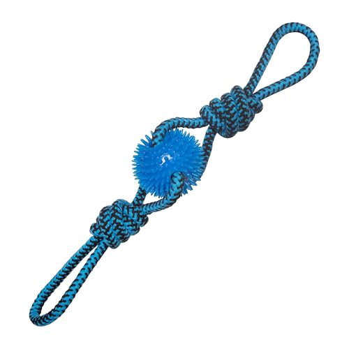 SNUGAROOZ 712187 Spikey Baby Hundespielzeug, 48,3 cm von SNUGAROOZ