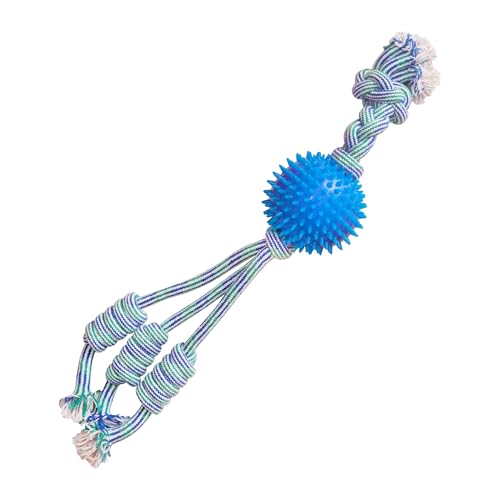 SNUGAROOZ 712188 Feeling n Spikey Hundespielzeug, 58,4 cm von SNUGAROOZ