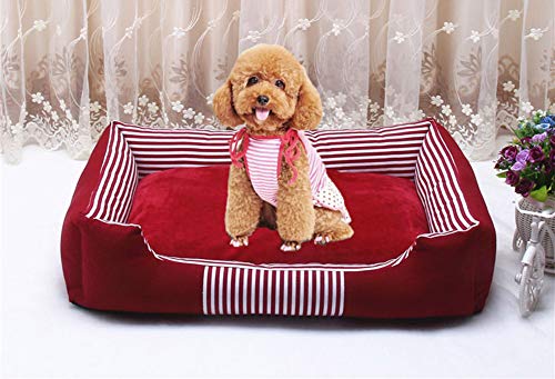 Abnehmbares waschbares Hundebett, wasserdicht, doppelseitig, Haustierkissen, superweiches, flauschiges Plüschkissen, großes warmes Hundehütten-Sofa, Welpen-Kissen von SOAI