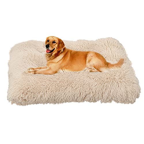 SOAI Flauschige Hundebett, Langer Plüsch Hundekissen,Hundematte,Weiche Polsterung,Hundekorb für Mittelgroße Hunde und Katzen(65x48cm) von SOAI