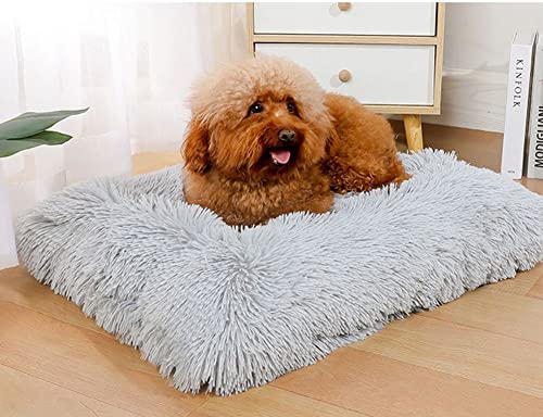 Hundekissen, Flauschig Hundebett, Katzenbett, Rutschhemmendes Hundebetten, Modische und Bunte Hundematratze, Hundesofa Geeignet für Autos, Sofas, Schlafzimmer von SOAI