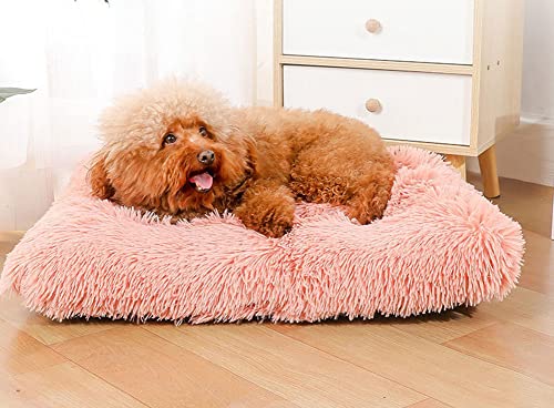 Hundekissen, Flauschig Hundebett, Katzenbett, Rutschhemmendes Hundebetten, Modische und Bunte Hundematratze, Hundesofa Geeignet für Autos, Sofas, Schlafzimmer von SOAI