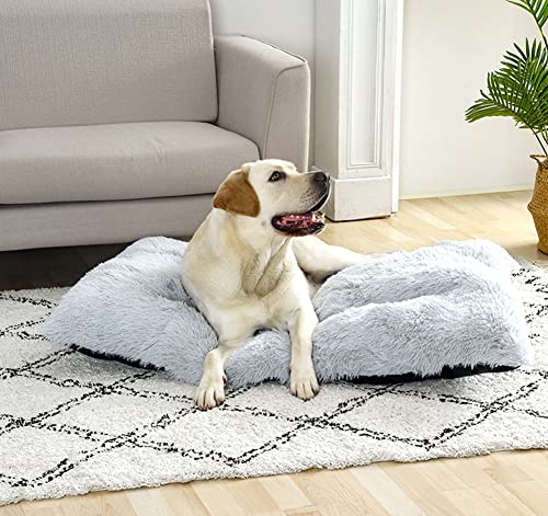 SOAI Hundebett für Kleine Hunde, Weiche Komfortable Plüsch Hundematte, Hundedecke, Hundesofa, Orthopädische Hundematte mit Hochelastischer PP Baumwolle von SOAI