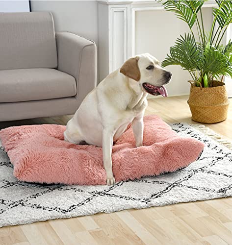 SOAI Hundebett für Kleine Hunde, Weiche Komfortable Plüsch Hundematte, Hundedecke, Hundesofa, Orthopädische Hundematte mit Hochelastischer PP Baumwolle von SOAI