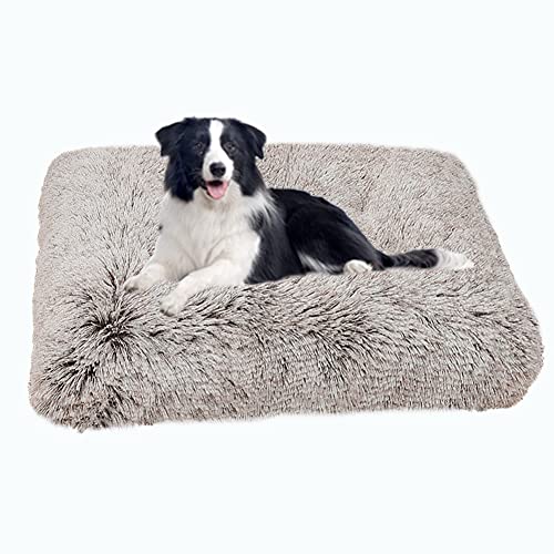 SOAI XXL Flauschige Hundesofa,Orthopädisches Hundebett Hunde,Hundekissen Hunde Waschebar,Anti-Rutsch Hundekorb,Hundebett für Mittelgroße Große Hunde und Katzen(122x83cm) von SOAI