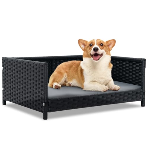 SOARS Hundebett Rattan, Hundekorb mit Kissen, Bezug abnehmbar und waschbar, erhöhtes Hundesofa für kleine und mittelgroße Hunde, Hundecouch für drinnen und draußen, 62 x 46 x 25 cm von SOARS