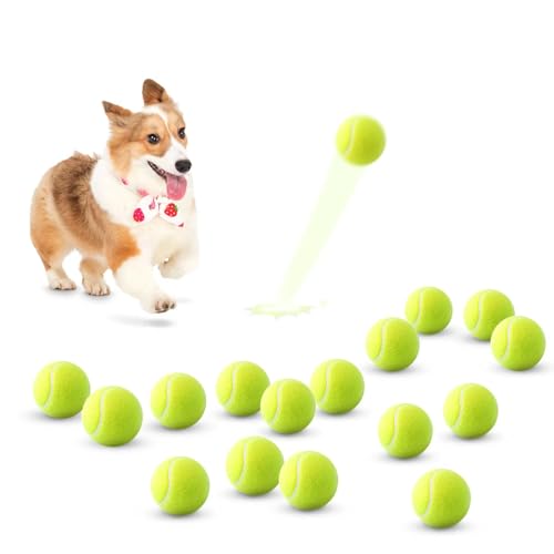 SOCO 16 Stück Tennisbälle für Haustiere, 5,1 cm Hundetraining-Tennisbälle für kleine, mittelgroße Hunde, interaktive Hunde-Spielbälle, passend für alle 5,1 cm großen Hundeballwerfer von SOCO