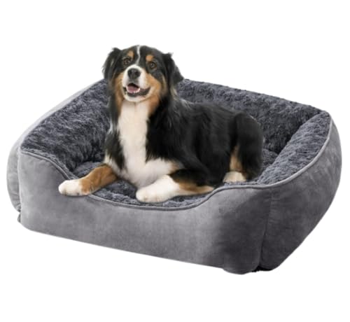 Hundekorb Hundebett Katzenbett Hundesofa Rechteckiges Hundebett Für Mittelgroße Hunde, Gemütliches Waschbares Bett, Orthopädisches Hundeschlafsofa, Langlebiges Haustierbett Hundekörbchen Haustierbett von SOCUY