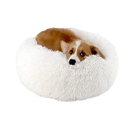 Hundekorb Hundebett Katzenbett Hundesofa Rundes Donut-Haustierbett Hundebetten, Selbstwärmendes Rundes Kissen Für Den Innenbereich, Abnehmbar Und Waschbar Hundekörbchen Haustierbett ( Color : Bianco , von SOCUY