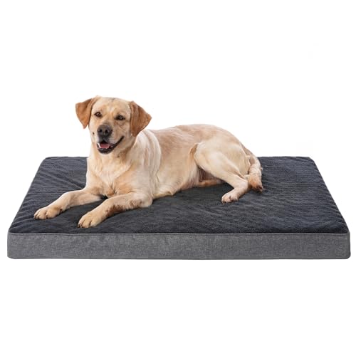 SOFTHOLA Orthopädisches, wasserdichtes Hundebett für große und mittelgroße Hunde, kompatibel mit waschbarem Bezug, gemütliches Schaumstoff-Hundebett (Größe XL (44 x 32 x 3,5) von SOFTHOLA