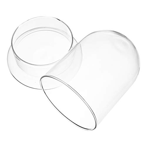 SOIMISS Flaschenmoos Outdoor Tischglocke Kuppel Für Dekoration Heimdekoration Kunstpflanzen Dekoration Mikro Terrarium Kuppel Terrariengläser Für Pflanzen Transparentes SOIMISS Flaschenmoos Outdoor Tischglocke Kuppel Für Dekoration Heimdekoration Kunstpflanzen Dekoration Mikro Terrarium Kuppel Terrariengläser Für Pflanzen Transparentes von SOIMISS