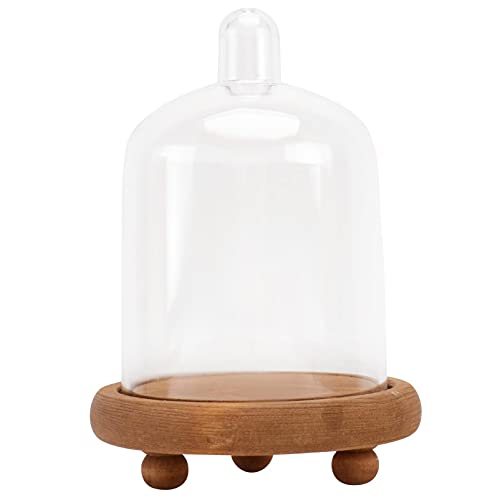 SOIMISS Hochzeitsdeko Glas Cloche Glocke Glas mit Holz Basis Glas Kuchen Abdeckung Dekorative Schaufenster Tabletop Display Fall für Pflanzen Sukkulenten Fee Lichter Medaillen von SOIMISS