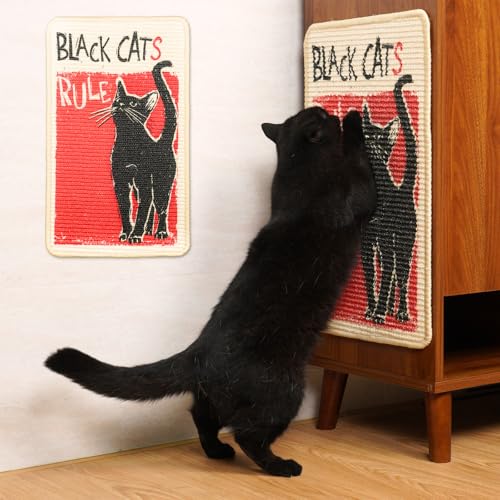 SOLDAY Kratzmatte Katze für Boden, Wand, Teppich, Couchmöbel, 56x33 cm Anti-Kratzer Möbel Schutz, Kratzbrett mit Klettverschluss (Schwarze Katze regiert) von SOLDAY